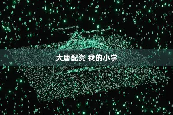 大唐配资 我的小学